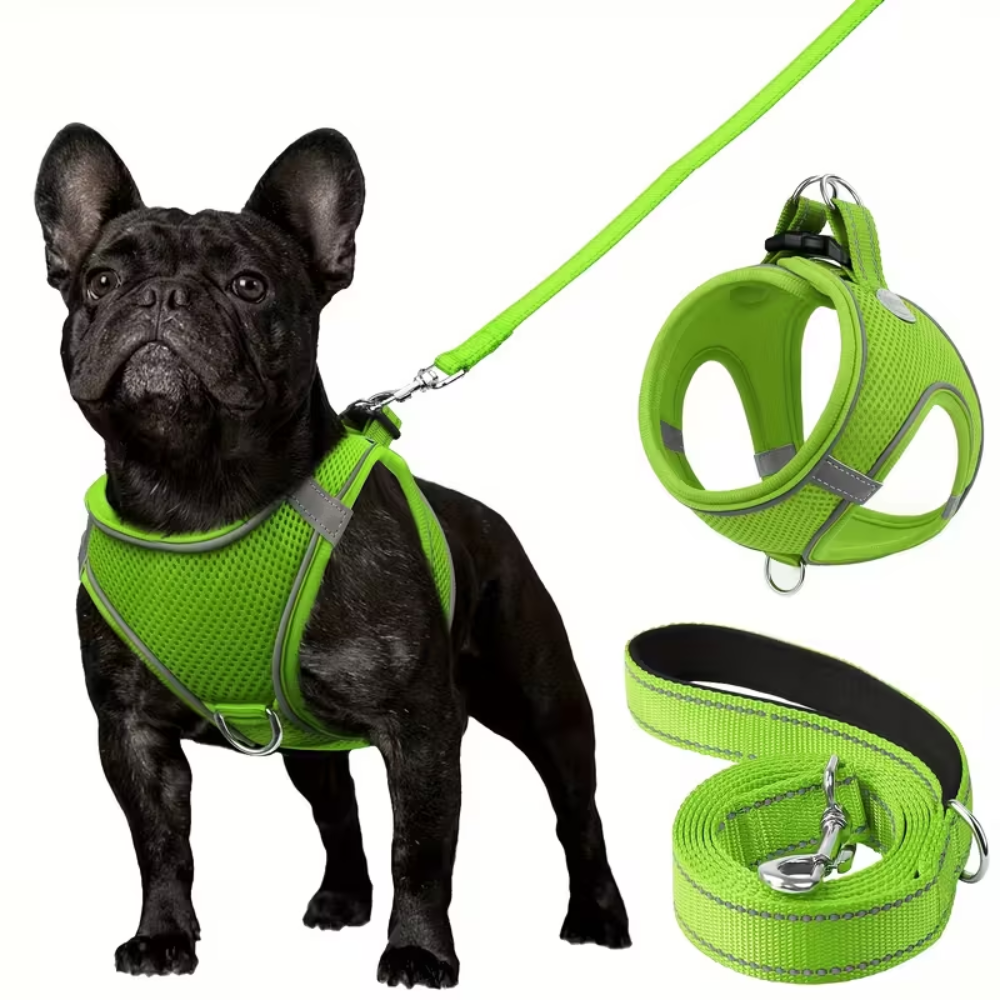Adjustable Dog Harness With Leash Set And Reflective TrimAdjustable Dog Harness With Leash Set - Image 9