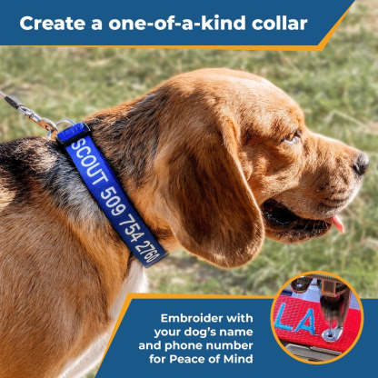Personalized Adjustable Dog Collar For All Breeds