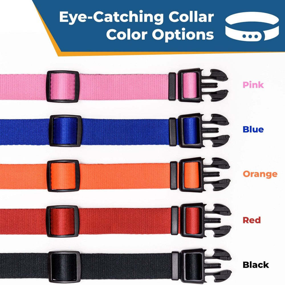 Personalized Adjustable Dog Collar For All Breeds