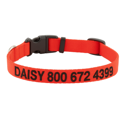 Personalized Adjustable Dog Collar For All Breeds