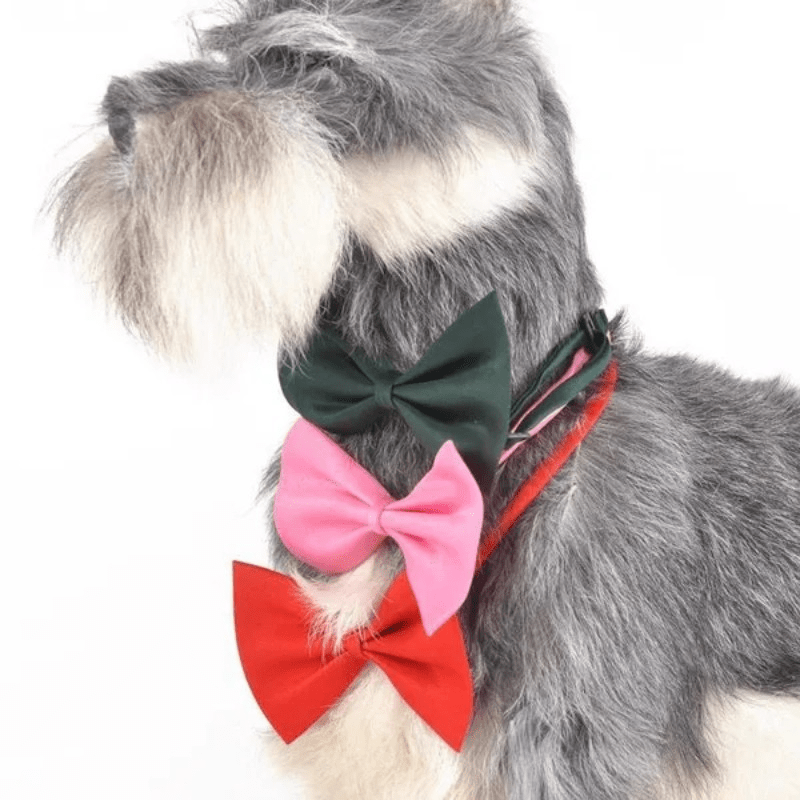 Adjustable Pet Bow Tie Collar For Dogs And Cats