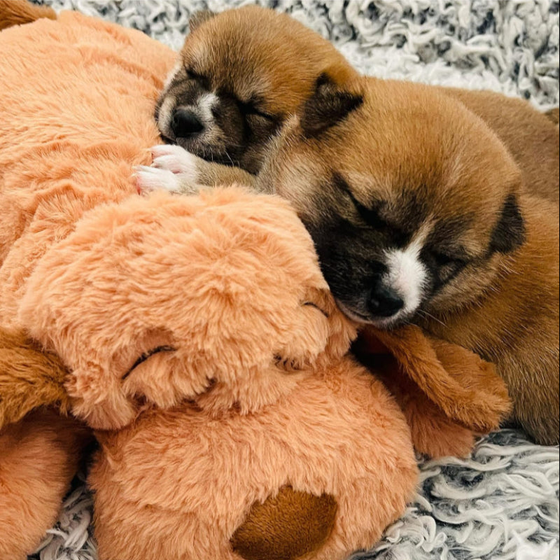 Comfy Plush Toy For PuppiesComfy Plush Toy For Puppies - Image 15