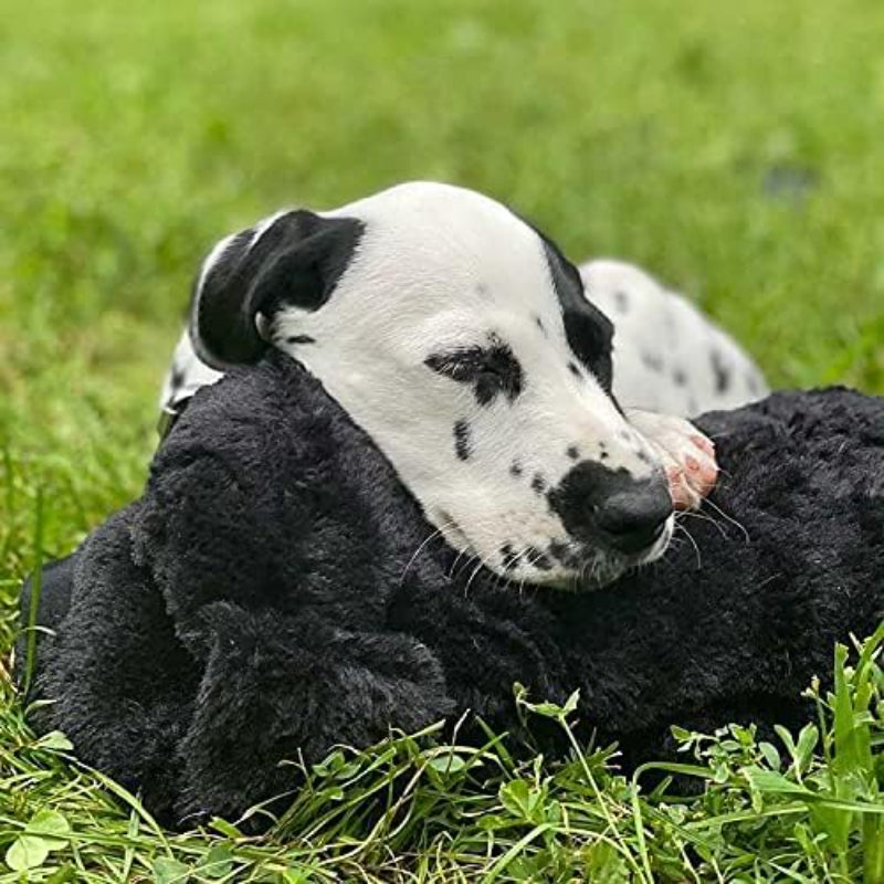 Comfy Plush Toy For PuppiesComfy Plush Toy For Puppies - Image 20