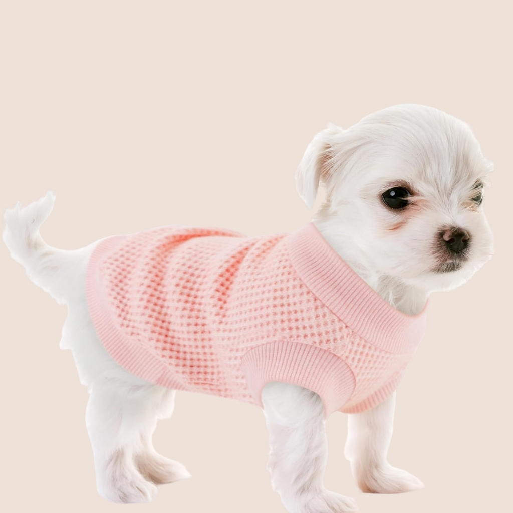 Cozy and Functional Shirts for Small Puppies in Stretchable Design