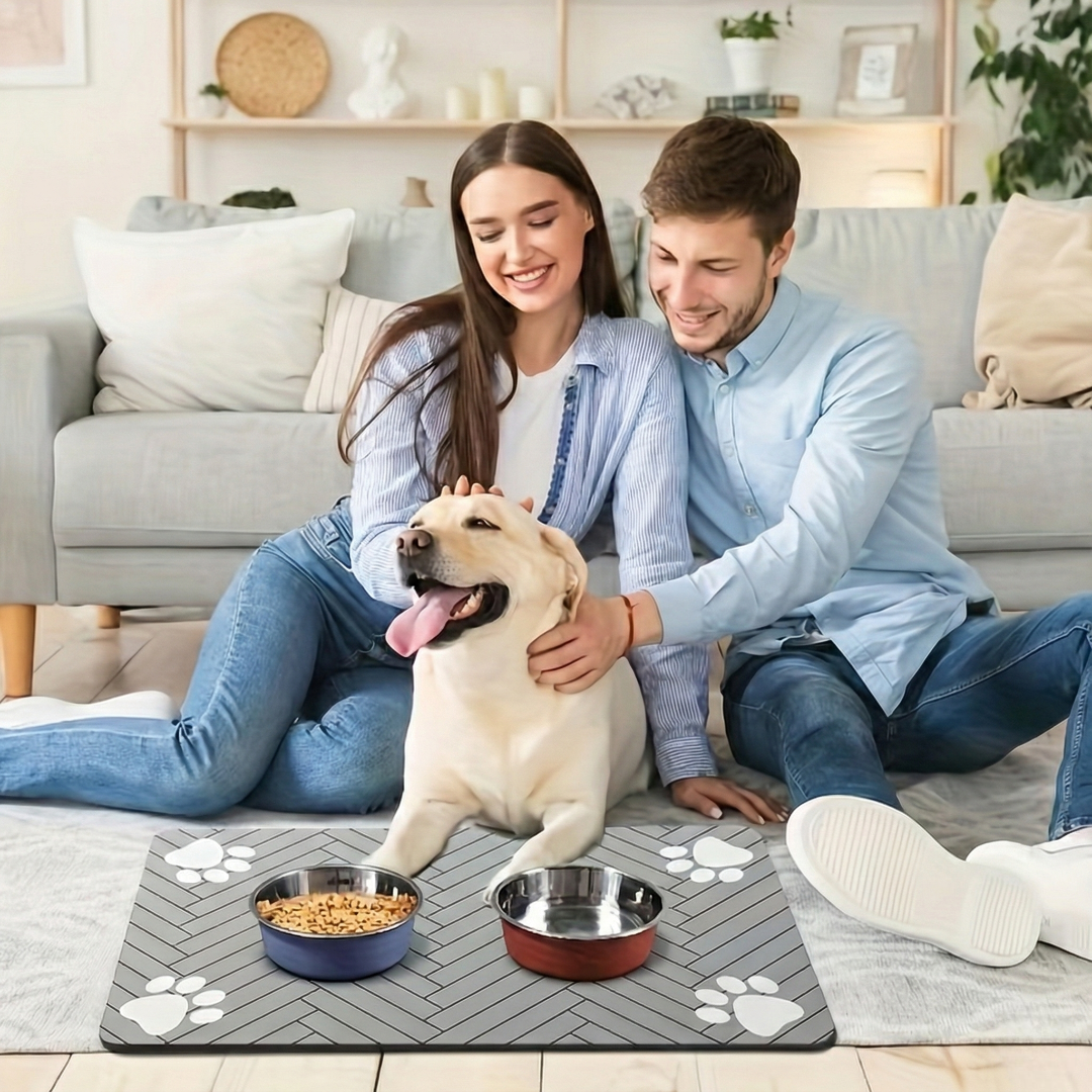 Quick Dry Diatom Mud Pet Feeding Mat For Cats And DogsQuick Dry Diatom Mud Pet Feeding Mat For Cats And Dogs - Image 5