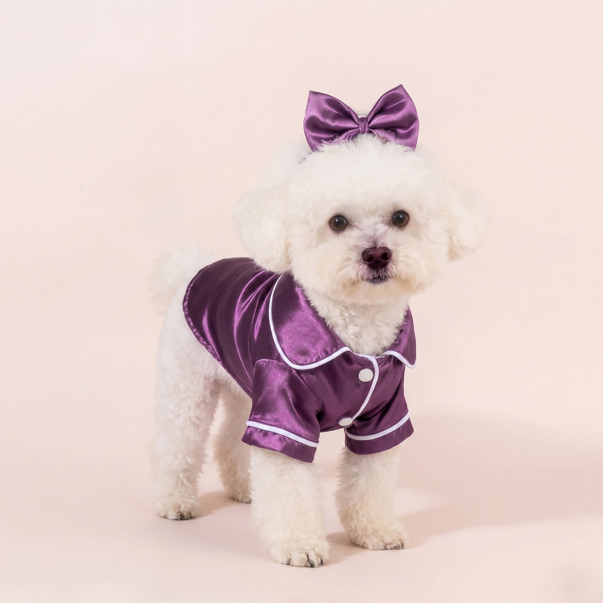 Pet Sleepwear