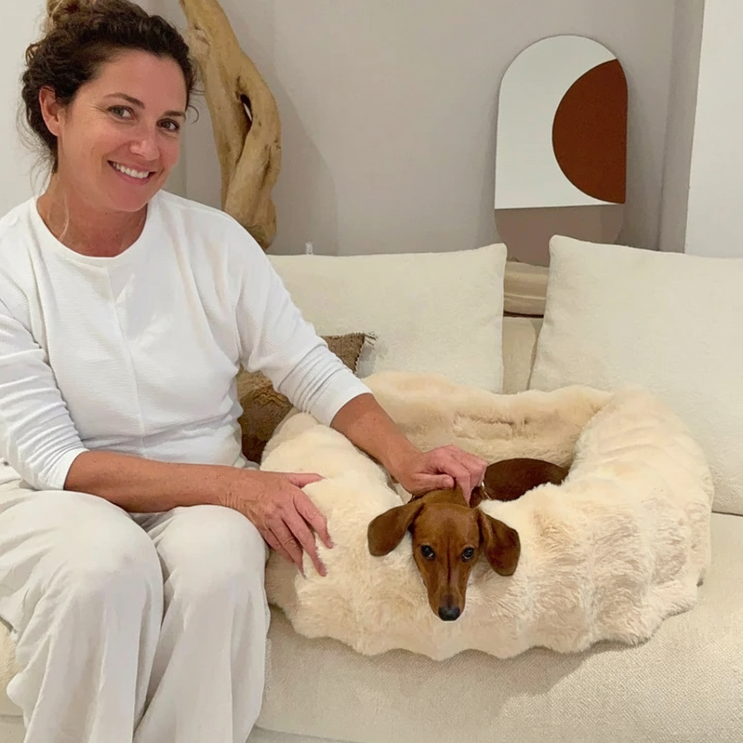 Luxurious Cozy Car Bed for PetsLuxurious Cozy Car Bed For Pets - Image 3