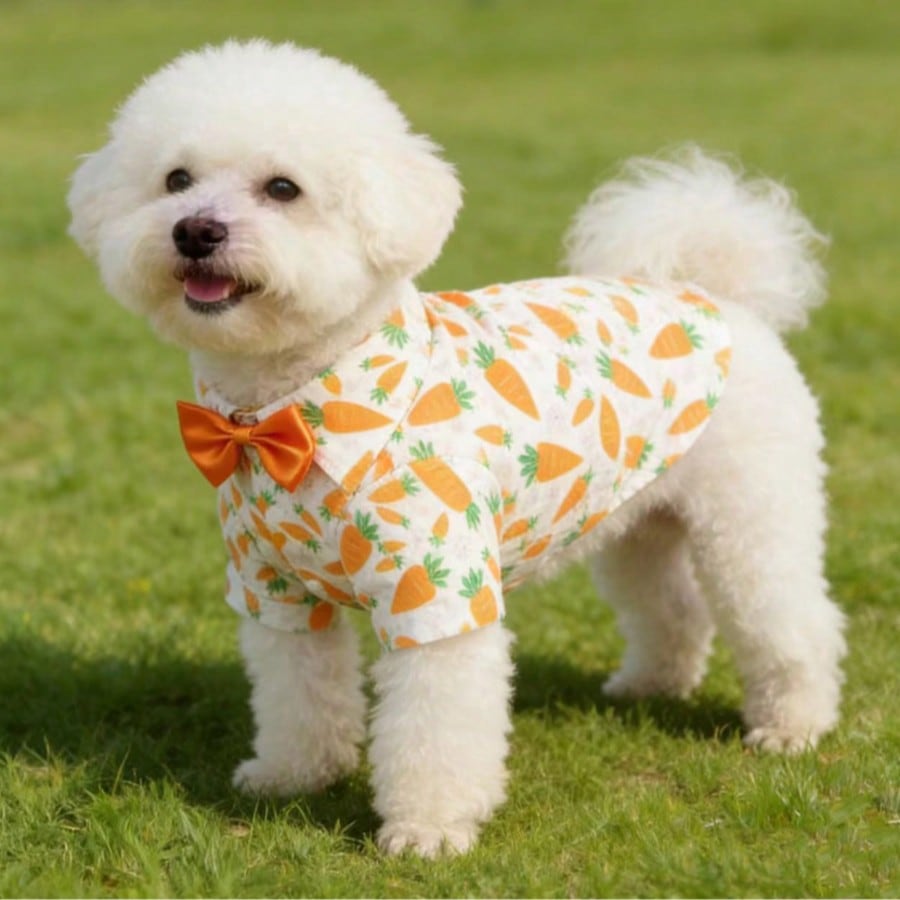 Gentleman Casual Bow Tie Stylish & Cute Multi-Color Denim Print Shirt For Small Dogs