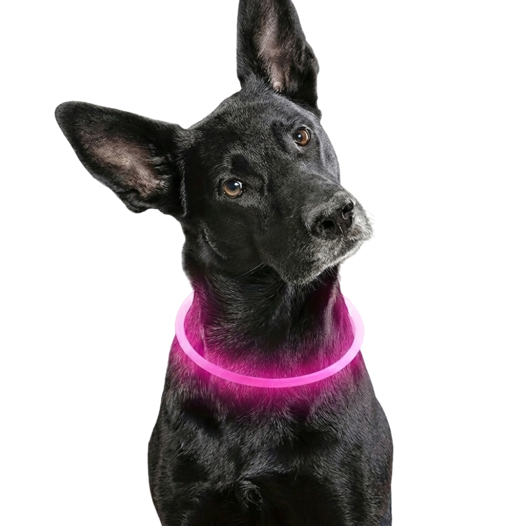 Glow In The Dark Dog Collar With Rechargeable USB PowerGlow In The Dark Dog Collar With Rechargeable USB Power - Image 8
