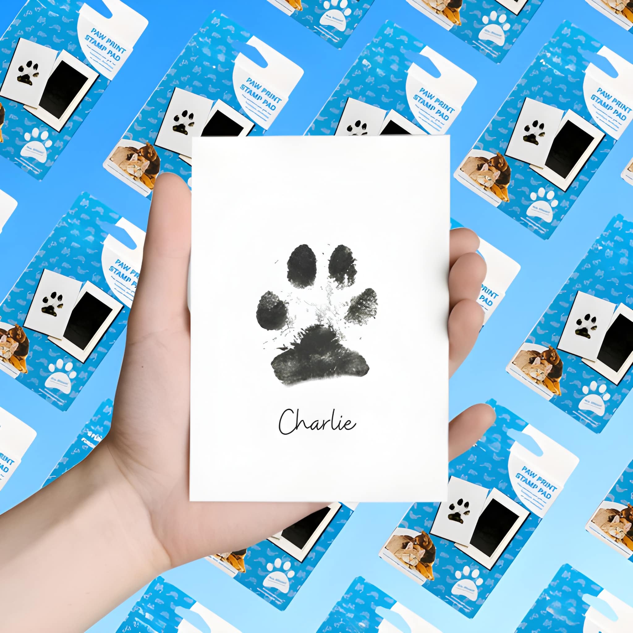 Pet Print Stamp Pad Bundle Set