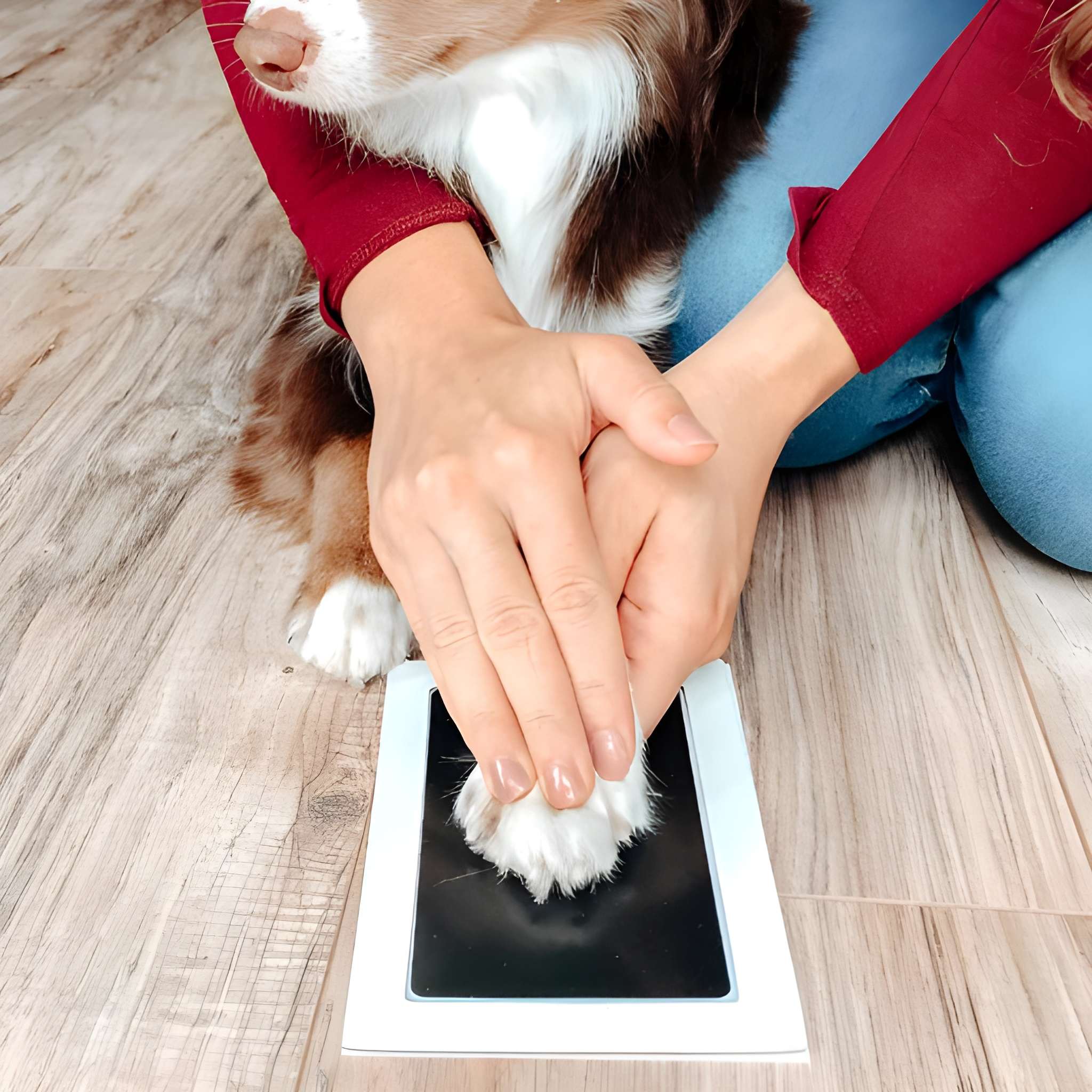 Pet Print Stamp Pad Bundle Set