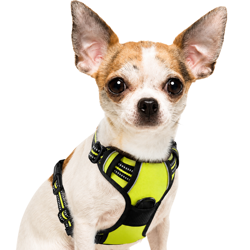 Reflective Safety Dog Harness for XL Dogs with Adjustable and Breathable