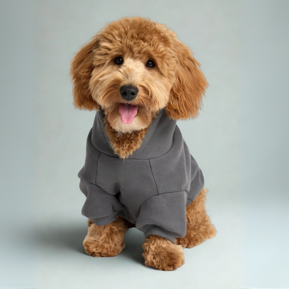 Cozy Hoodie for DogsCozy Hoodie For Dogs - Image 6