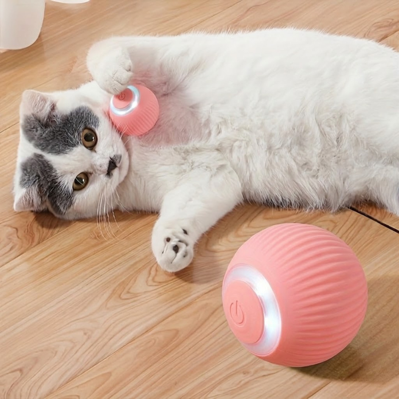 Cat Automatic Rolling BallCat Automatic Rolling Ball - Image 2
