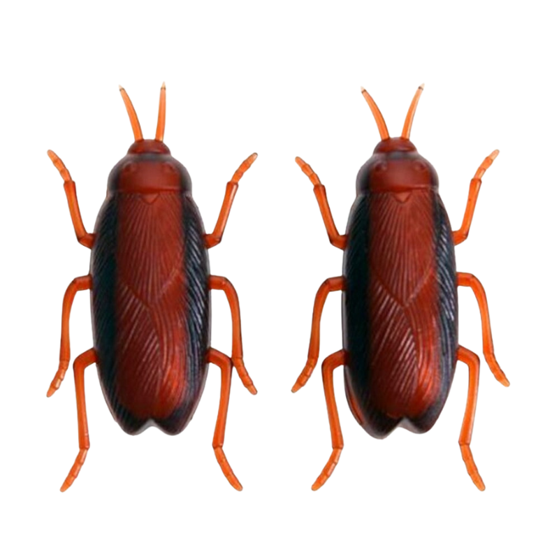 Toy Interactive Electronic Cockroach