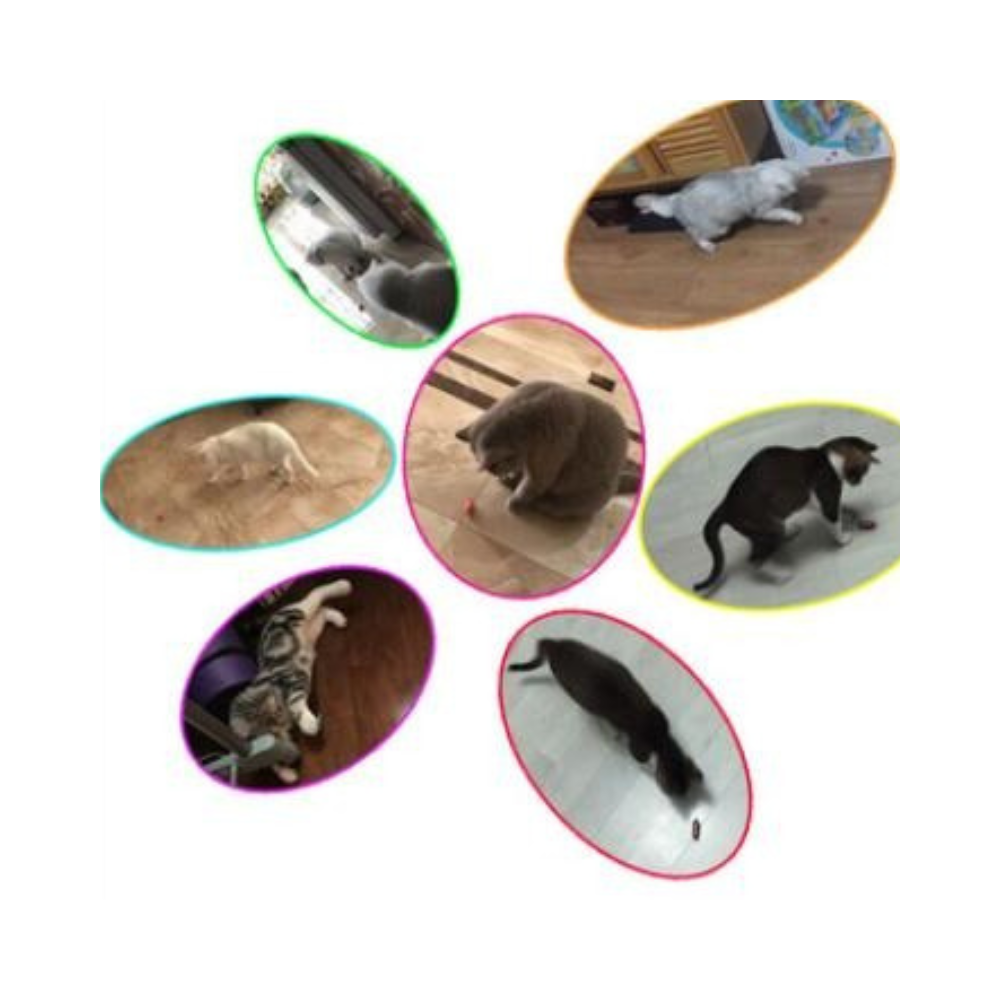 Toy Interactive Electronic Cockroach