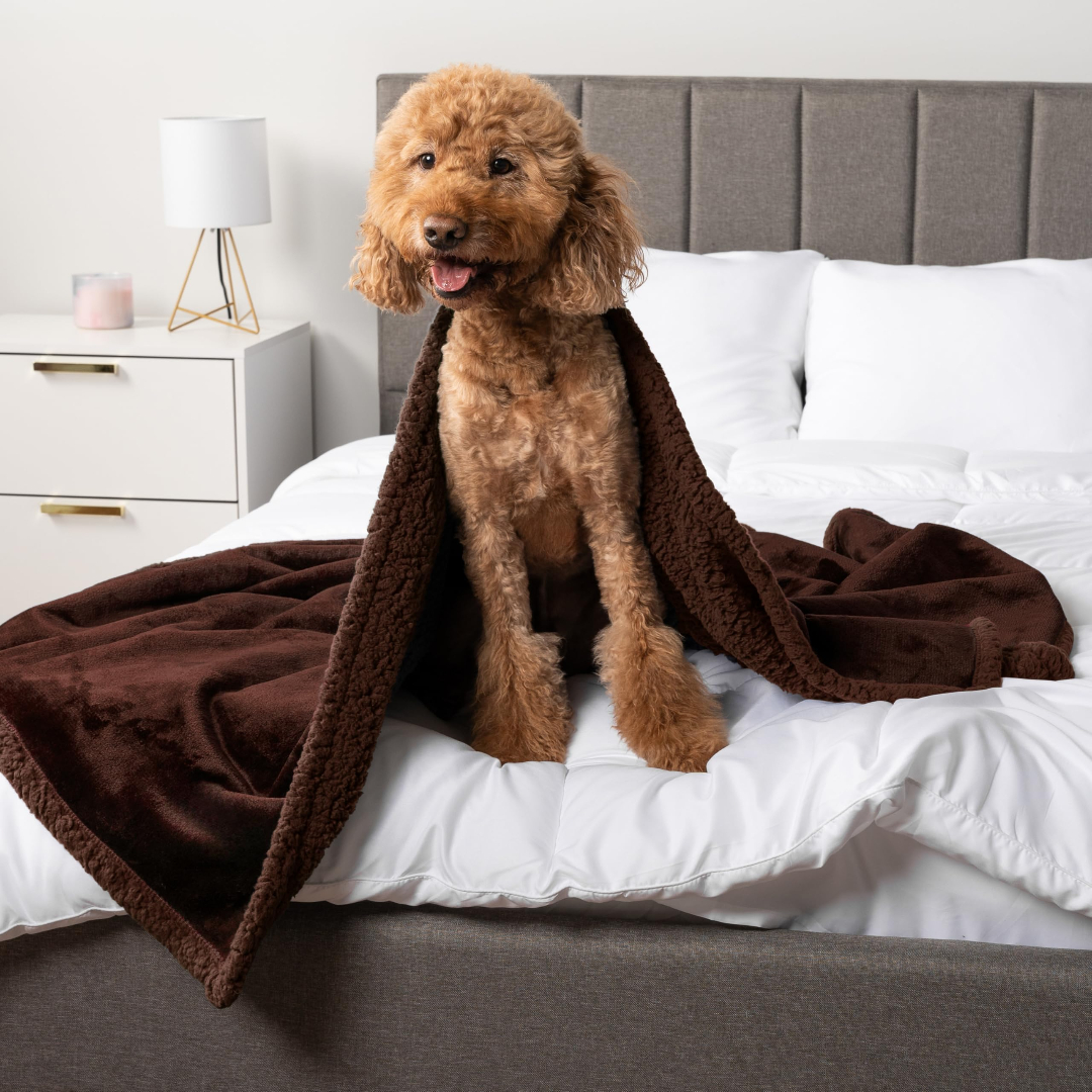 Waterproof Super Soft Washable Microfiber Fleece Sherpa Pet Blanket
