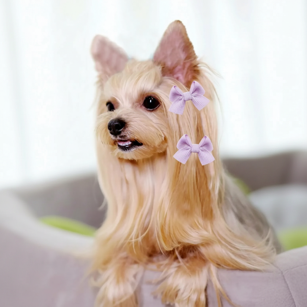 Pet Grooming Bow Hair Clips Set For Dogs And Cats