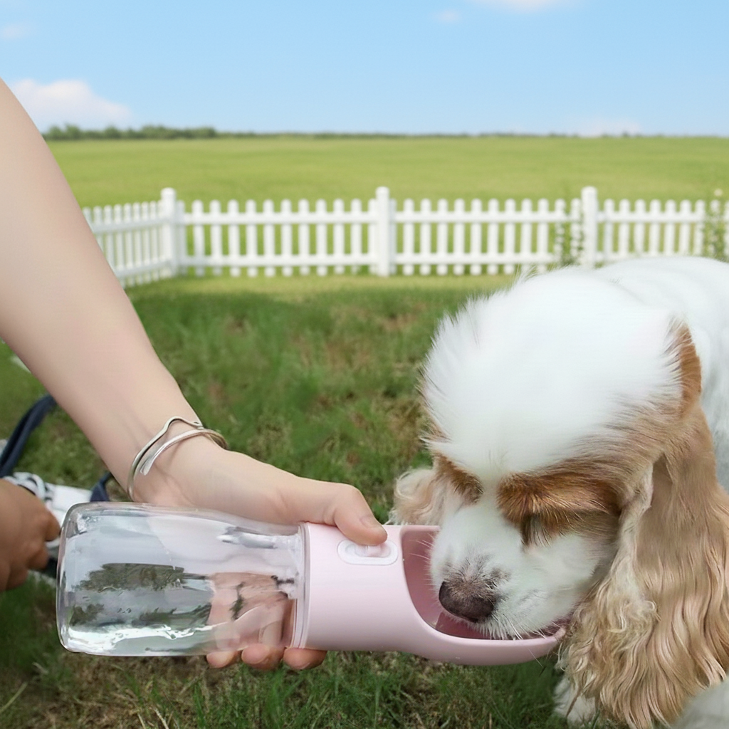 Portable Dog Water Bottle With Built In Bowl For Travel Use