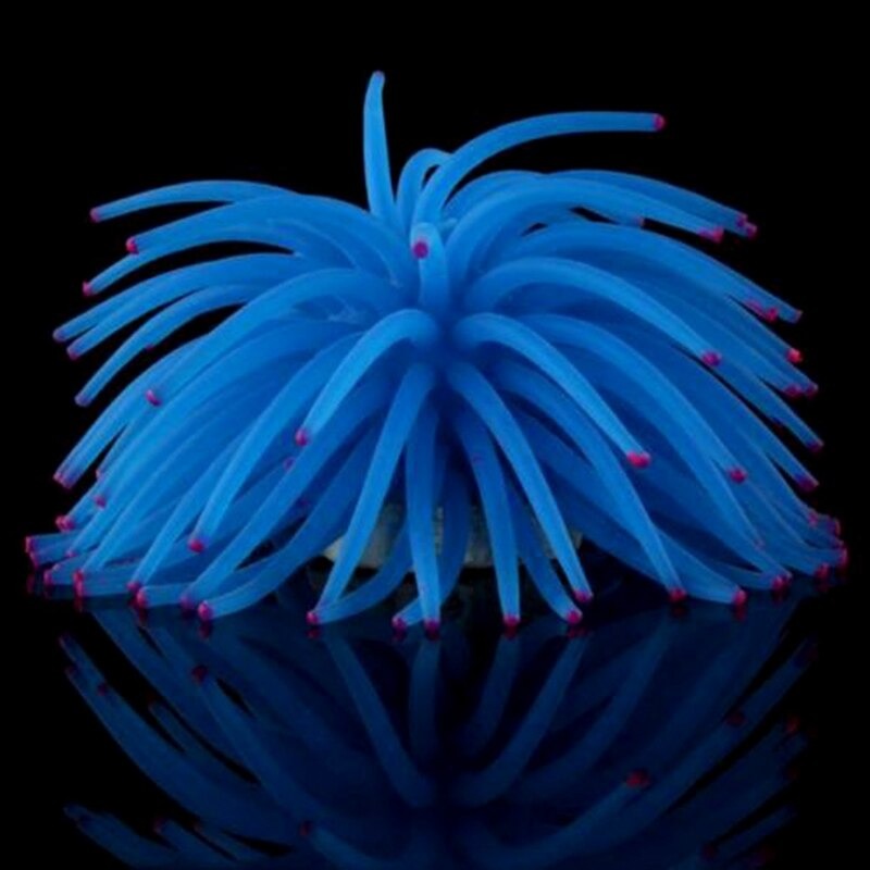 Aquarium Decoration for Freshwater and Saltwater Aquariums Precise Reliable and Easy to Install — detail close-up