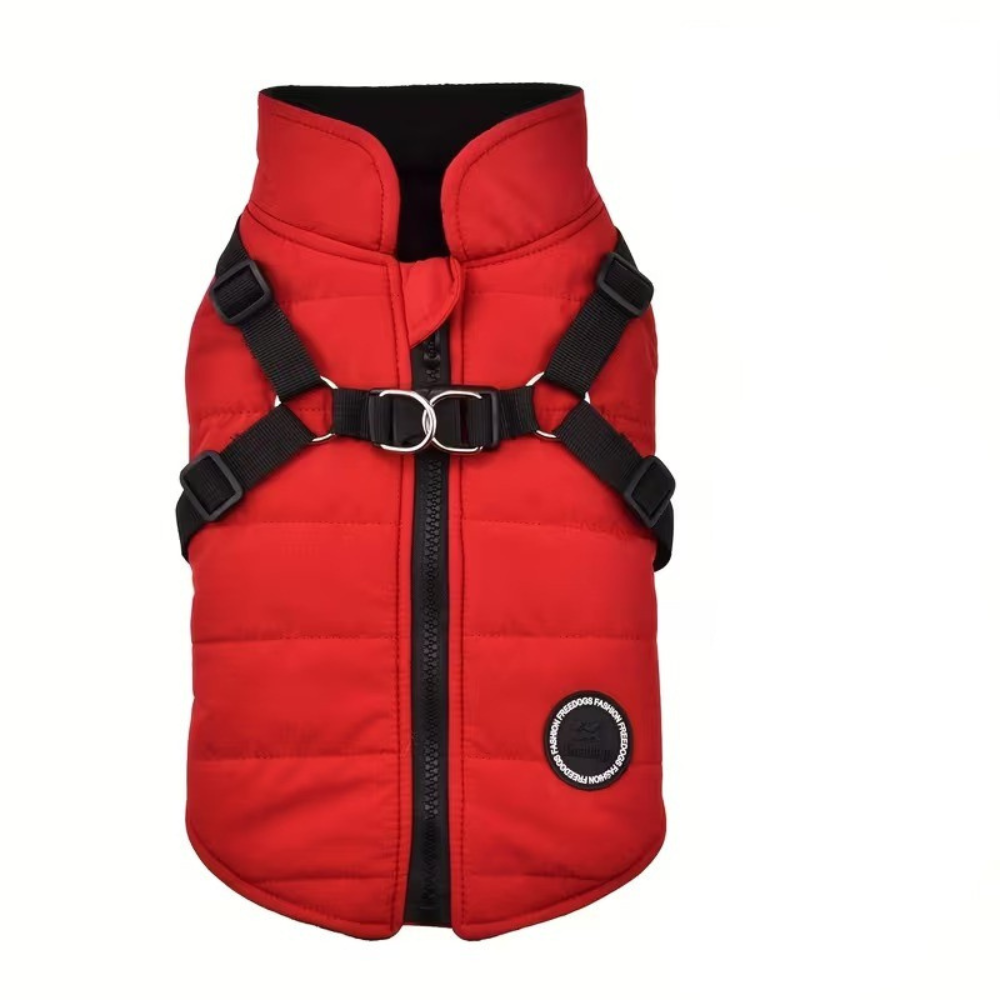 Padded Zipper Dog Vest With Harness