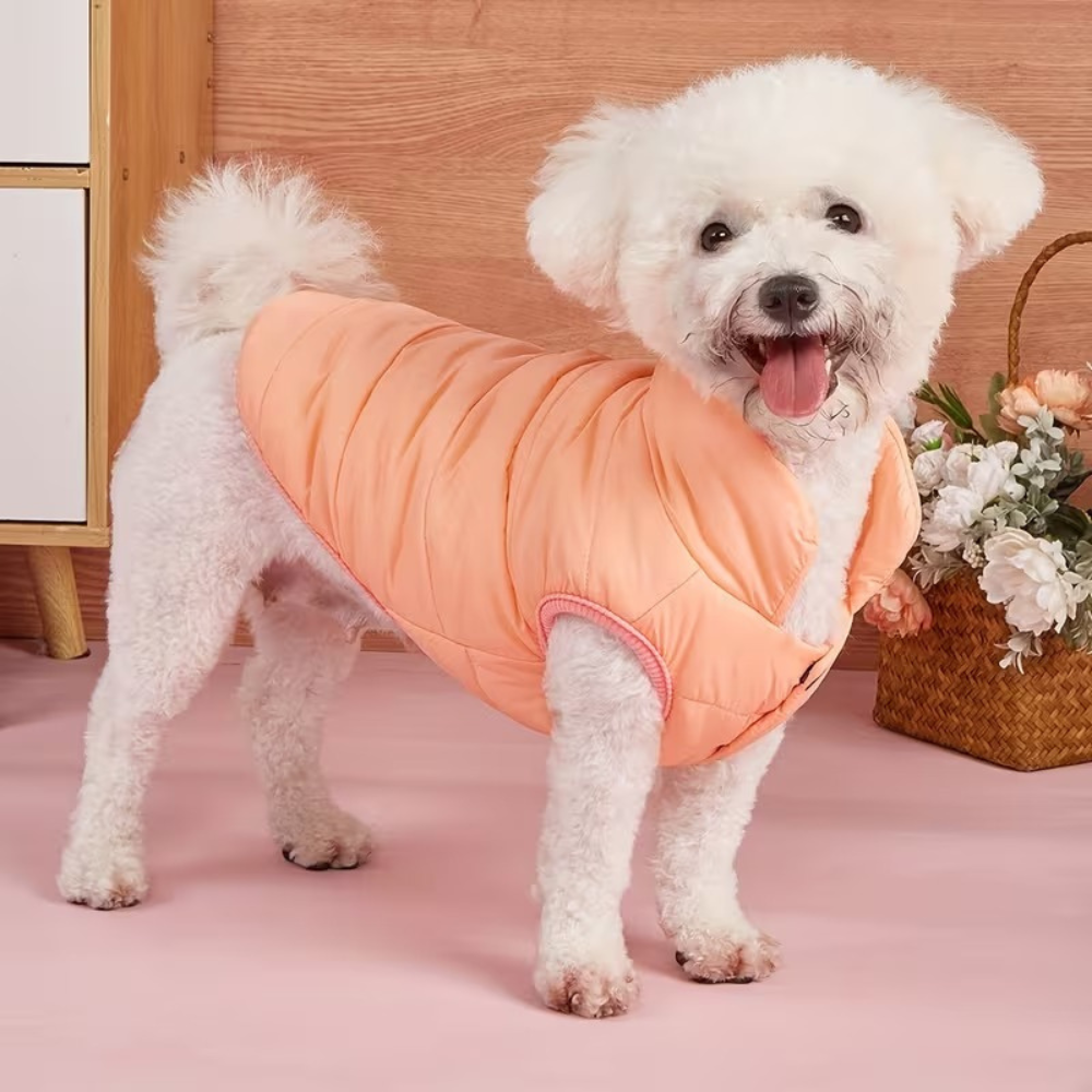 Adjustable Warm Coat With Thick Pad For DogsAdjustable Warm Coat With Thick Pad For Dogs - Image 7