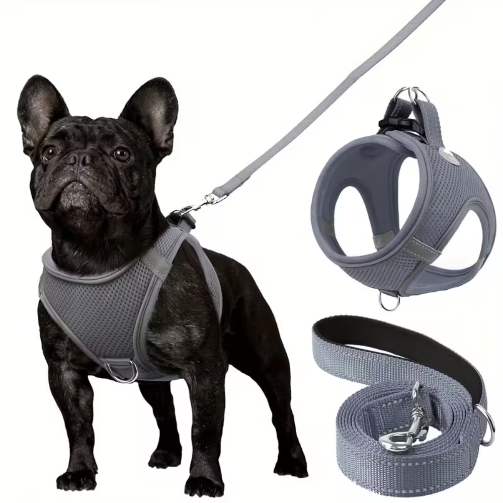Adjustable Dog Harness With Leash Set And Reflective TrimAdjustable Dog Harness With Leash Set - Image 7