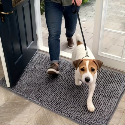 Dog Door Entry Floor Mat