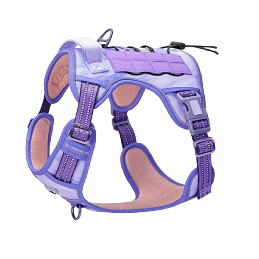 Reflective Safety Dog Harness for S to XL Dogs with Adjustable and Breathable