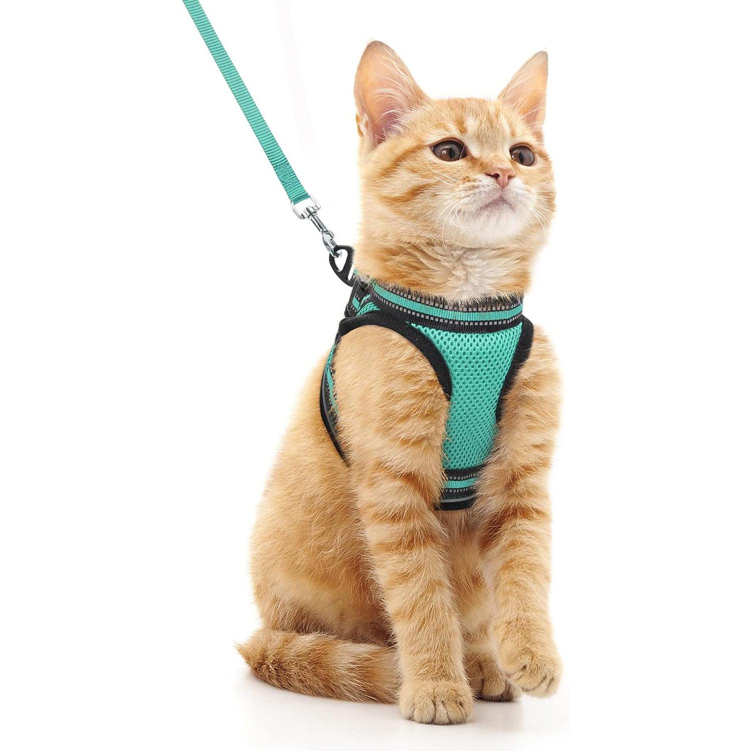 Outdoor Adjustable Soft Cat Vest Harness and Leash Set With Reflective Strips