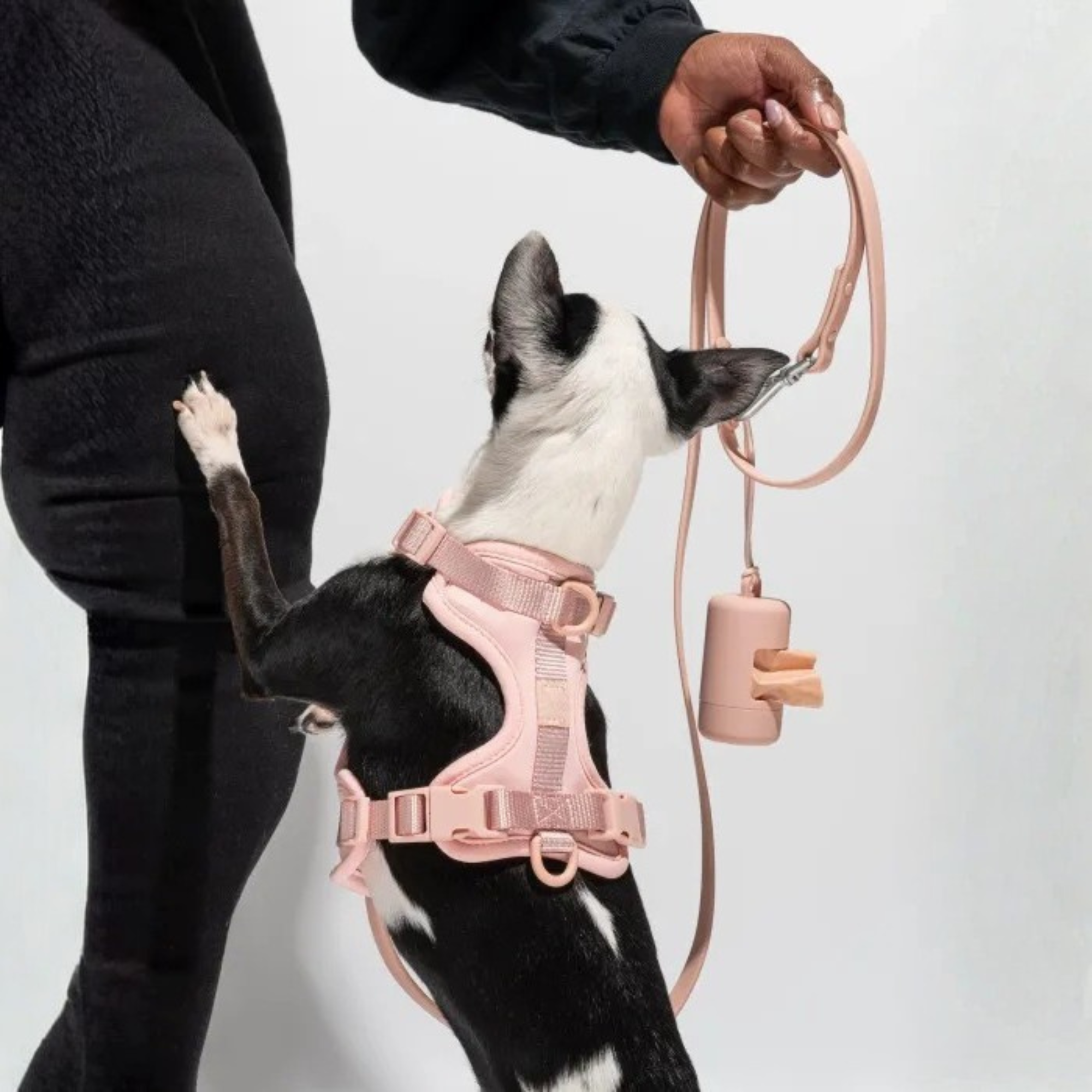 Dog Harness With Waterproof Walking Leash Kit