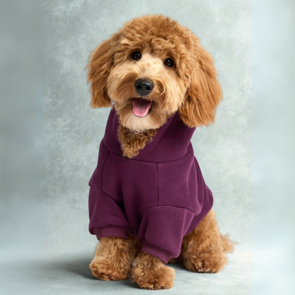 Cozy Hoodie for DogsCozy Hoodie For Dogs - Image 2
