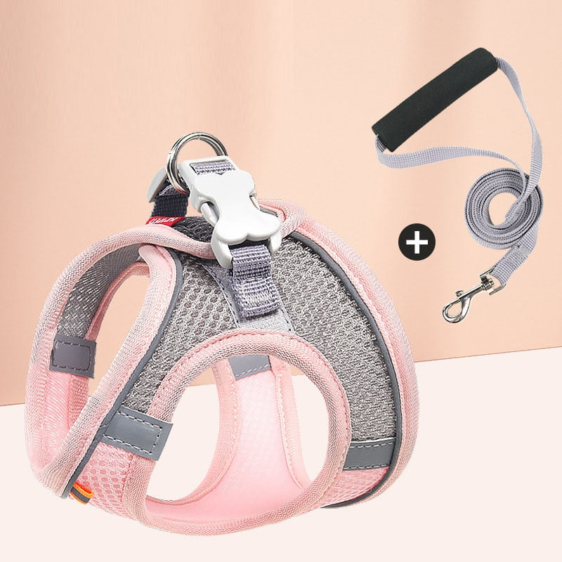Pastel Colors Dog Harness Leash SetPastel Colors Dog Harness Leash Set - Image 8