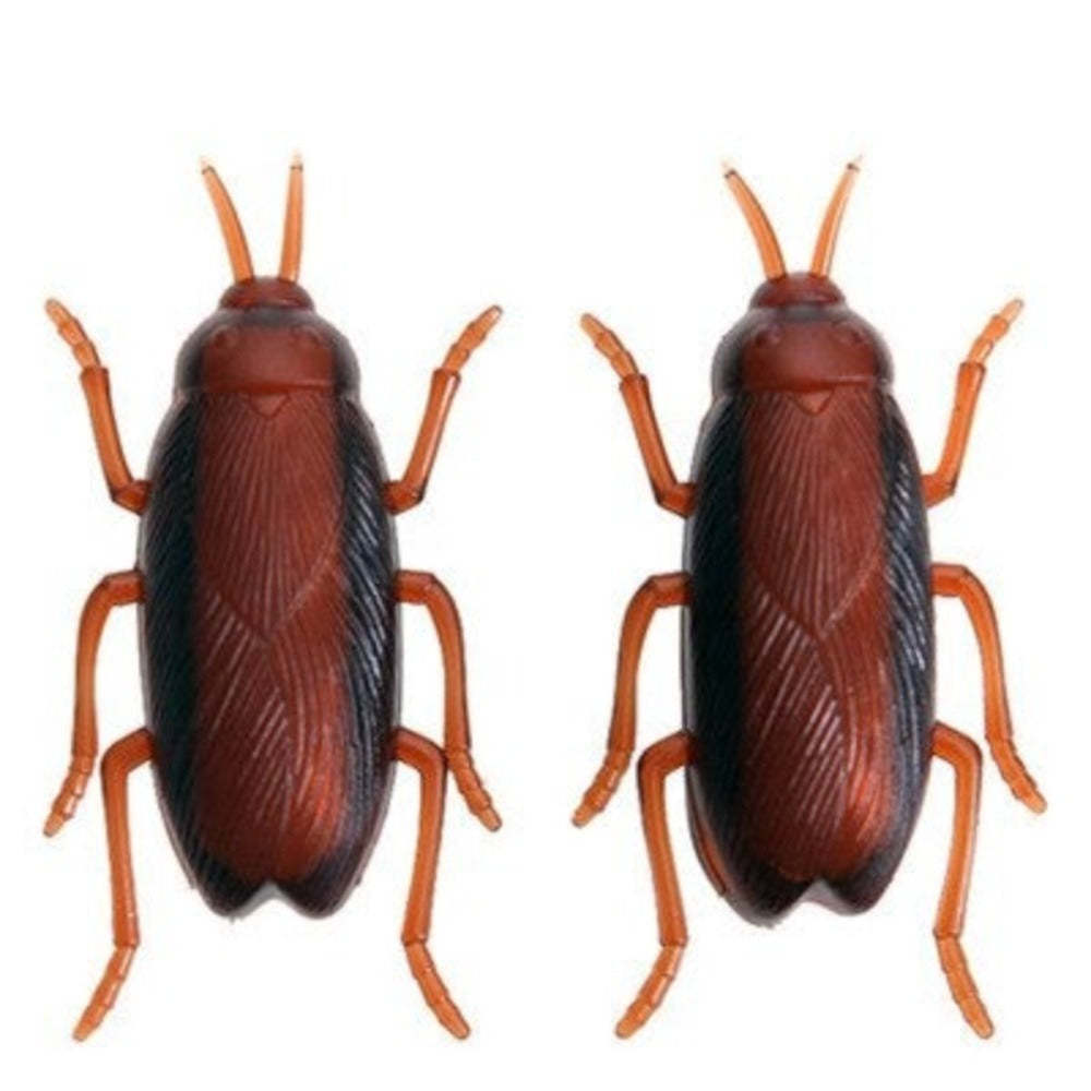 Toy Interactive Electronic Cockroach