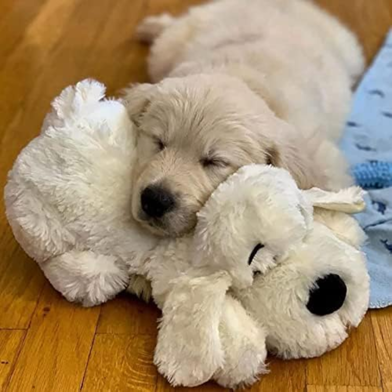 Comfy Plush Toy For PuppiesComfy Plush Toy For Puppies - Image 5