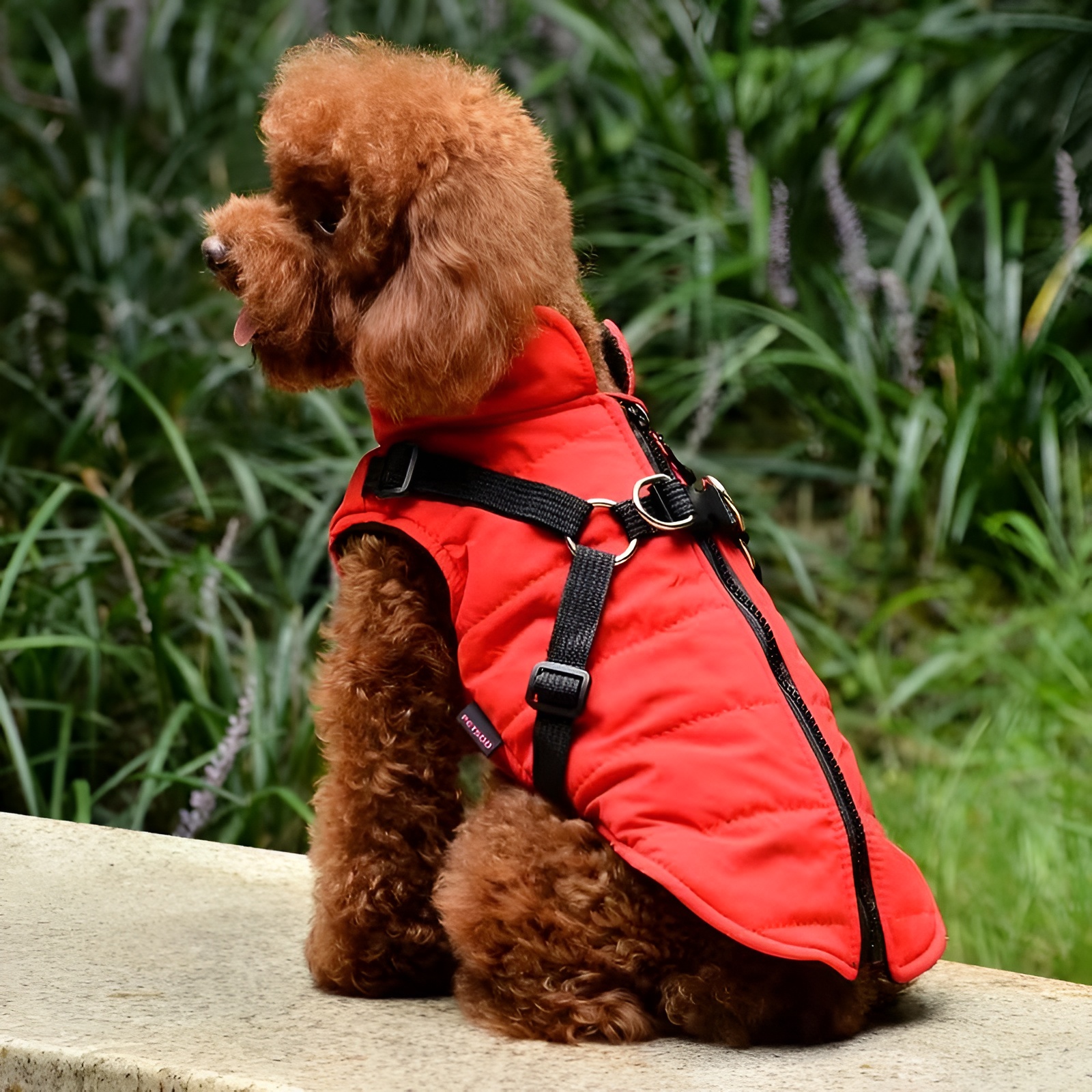 Padded Zipper Dog Vest With HarnessPadded Zipper Dog Vest With Harness - Image 10