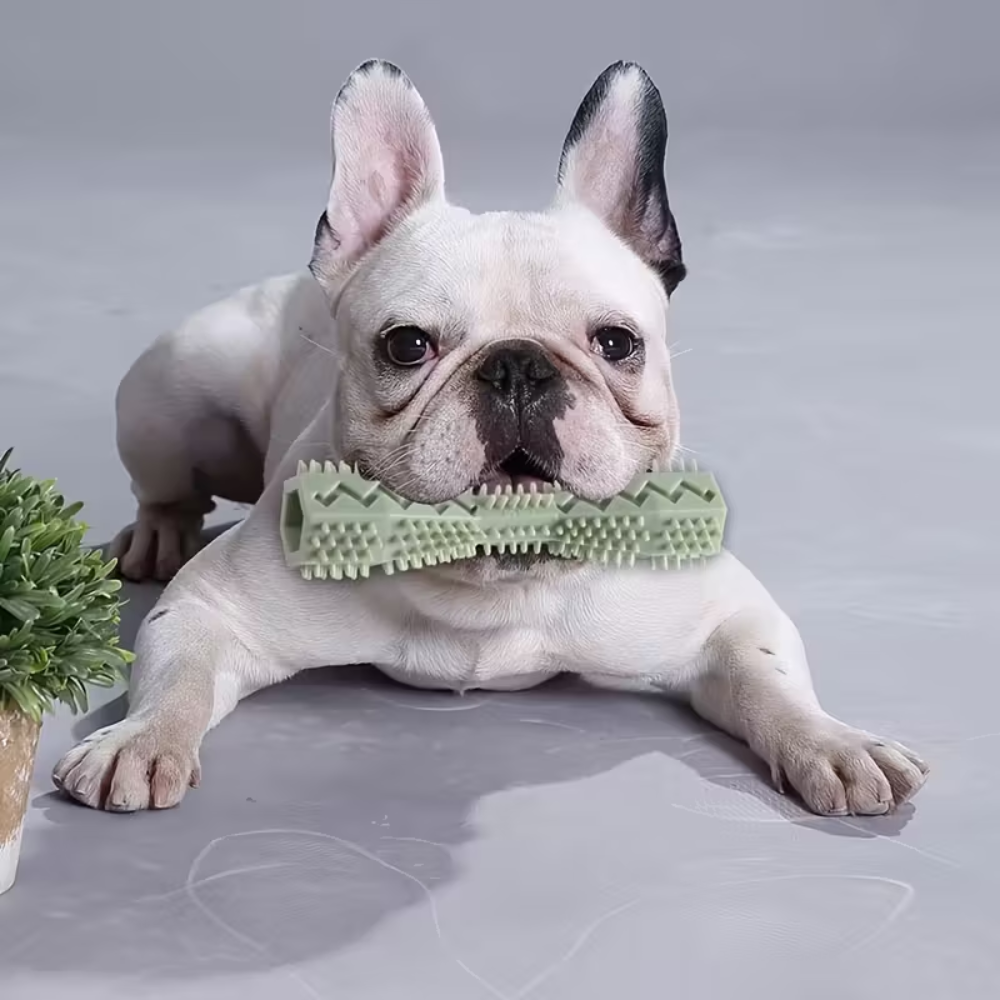 Interactive Dog Toothbrush Toy For Cleaning And ChewingInteractive Dog Toothbrush Toy For Cleaning And Chewing - Image 2