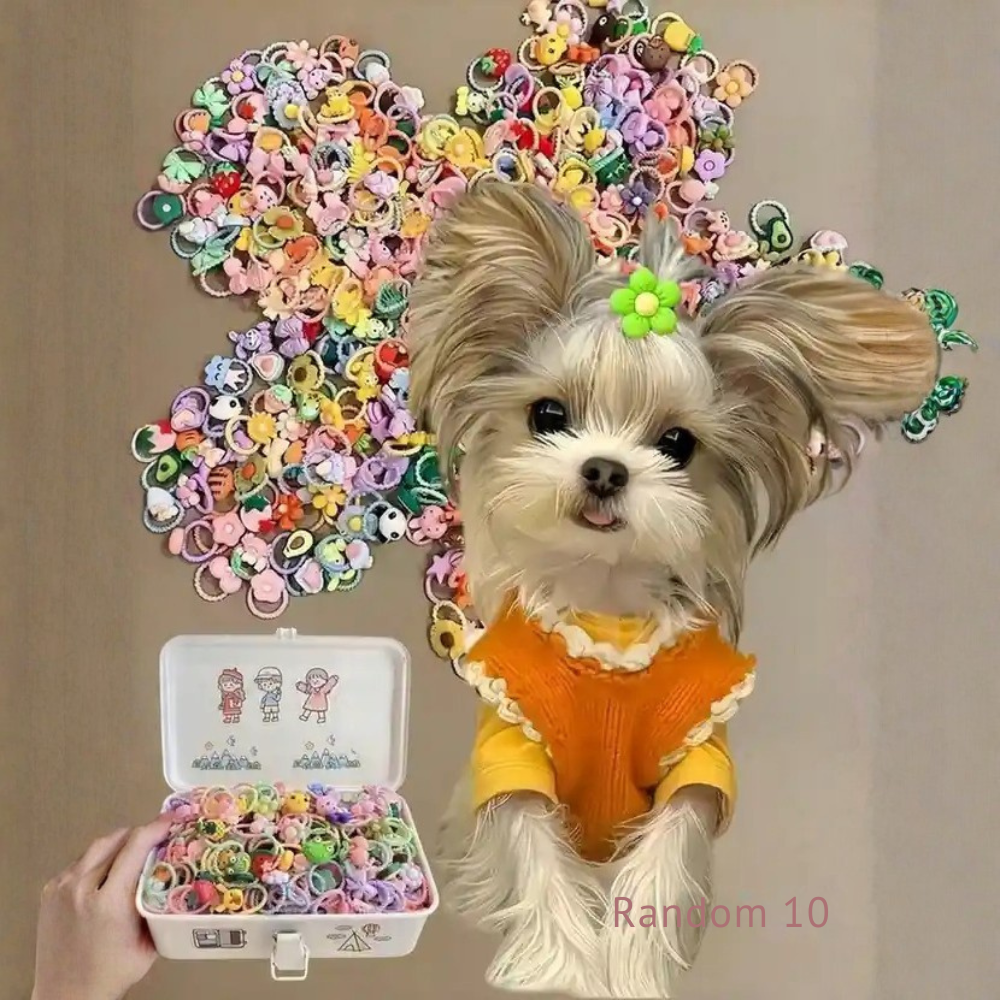 Pet Hair Accessories Set With Flower Bow And Fruit Designs