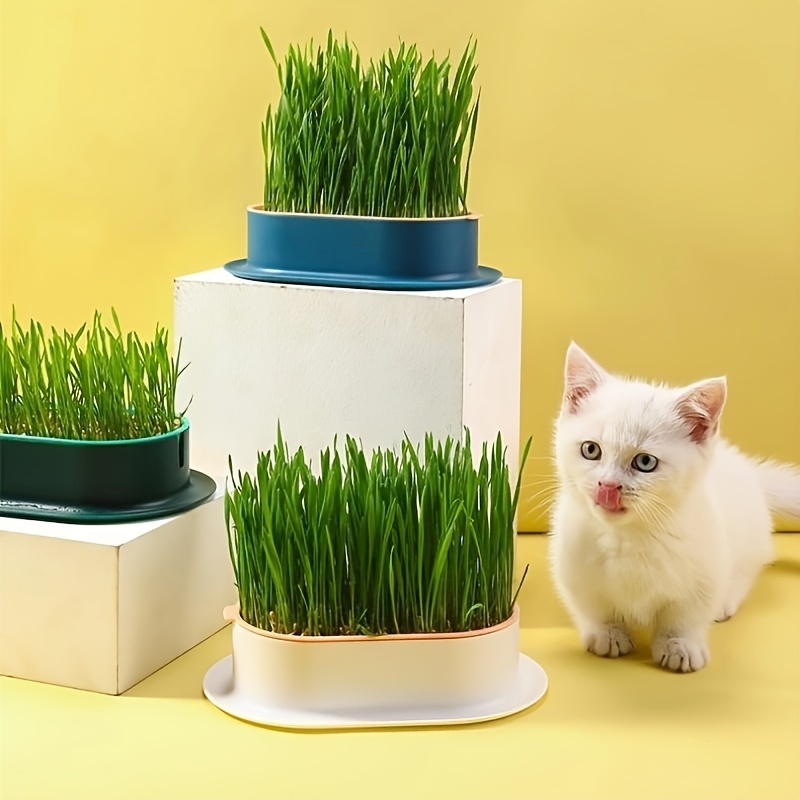 Hydroponic Cat Grass Growing Pot With Drainage TrayHydroponic Cat Grass Growing Pot With Drainage Tray - Image 7