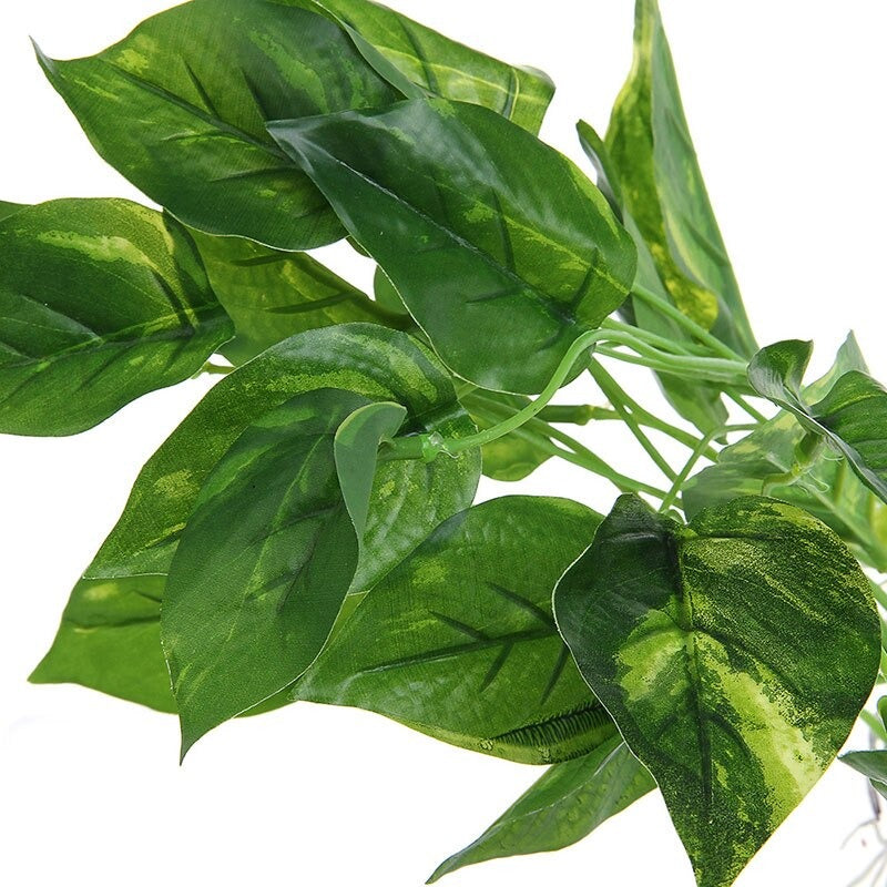 Aquarium Decoration for Freshwater and Saltwater Aquariums with Durable — size comparison