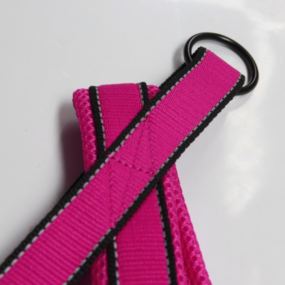 Nylon Dog HarnessNylon Dog Harness - Image 4