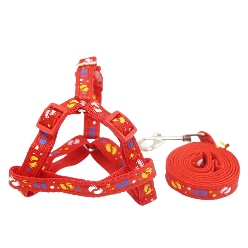 Adjustable Nylon Dog Harness and Leash SetAdjustable Nylon Dog Harness and Leash Set - Image 9