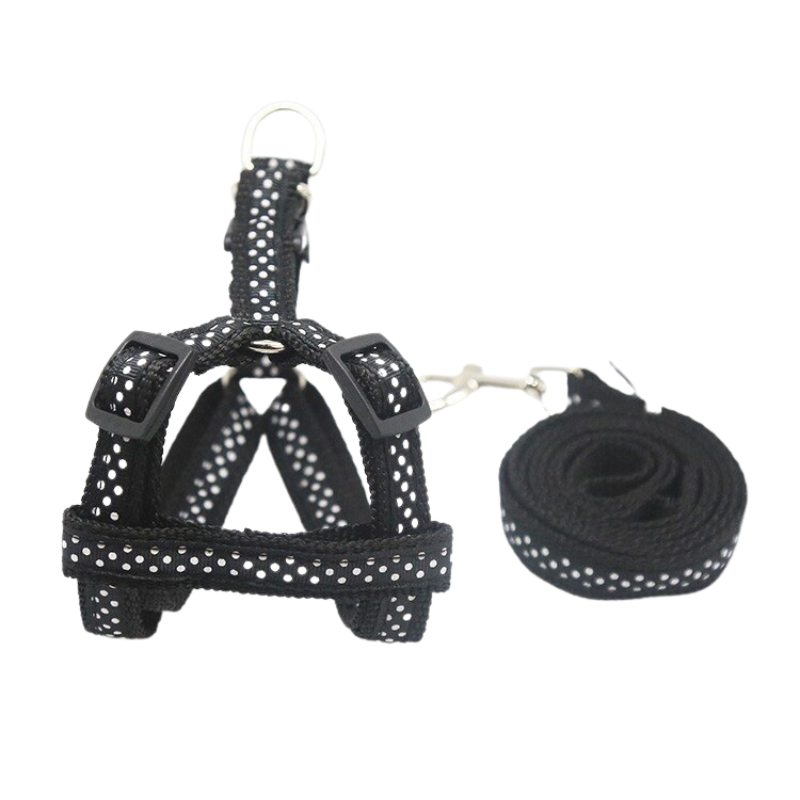Adjustable Nylon Dog Harness and Leash SetAdjustable Nylon Dog Harness and Leash Set - Image 3