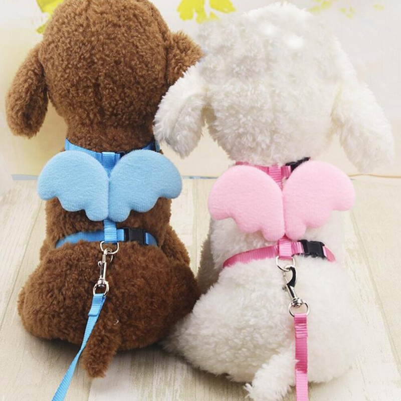 Cute Angel Pet Dog Leashes And Collars SetCute Angel Pet Dog Leashes And Collars Set - Image 3