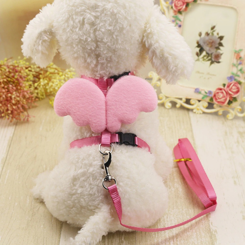 Cute Angel Pet Dog Leashes And Collars Set