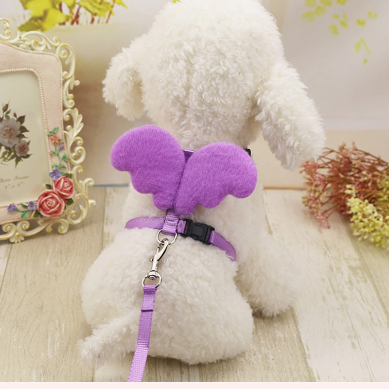 Cute Angel Pet Dog Leashes And Collars SetCute Angel Pet Dog Leashes And Collars Set - Image 6