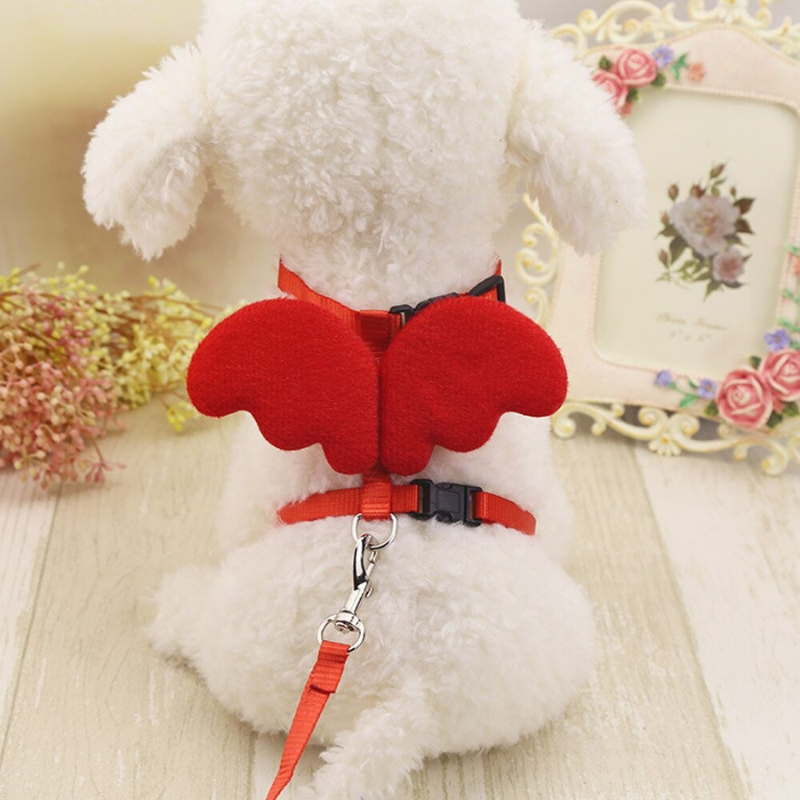 Cute Angel Pet Dog Leashes And Collars SetCute Angel Pet Dog Leashes And Collars Set - Image 5