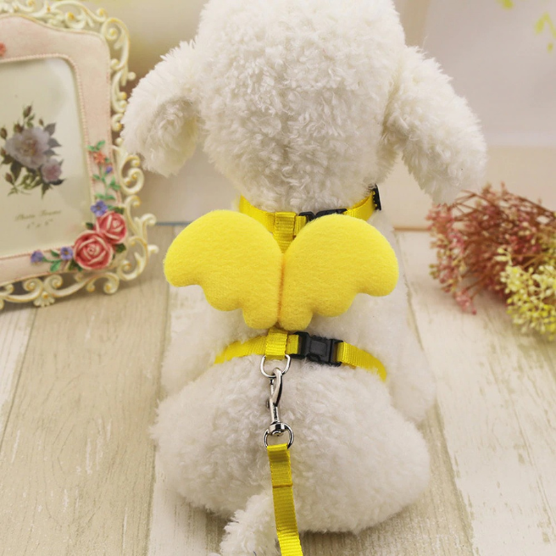 Cute Angel Pet Dog Leashes And Collars SetCute Angel Pet Dog Leashes And Collars Set - Image 4
