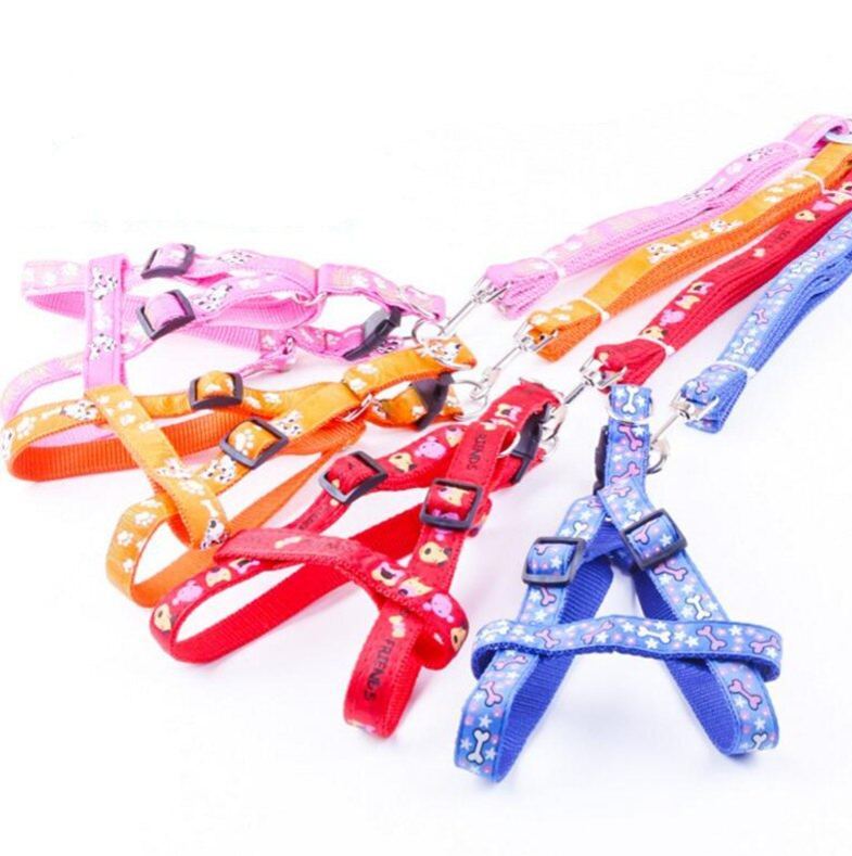 Adjustable Nylon Dog Harness and Leash Set