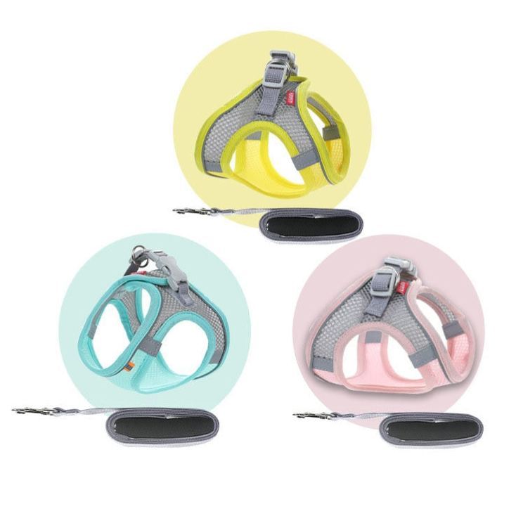 Pastel Colors Dog Harness Leash Set